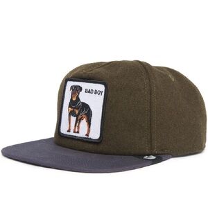 Goorin Top Dog hat